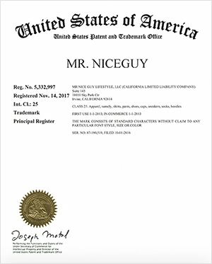Mr niceguy certificate image